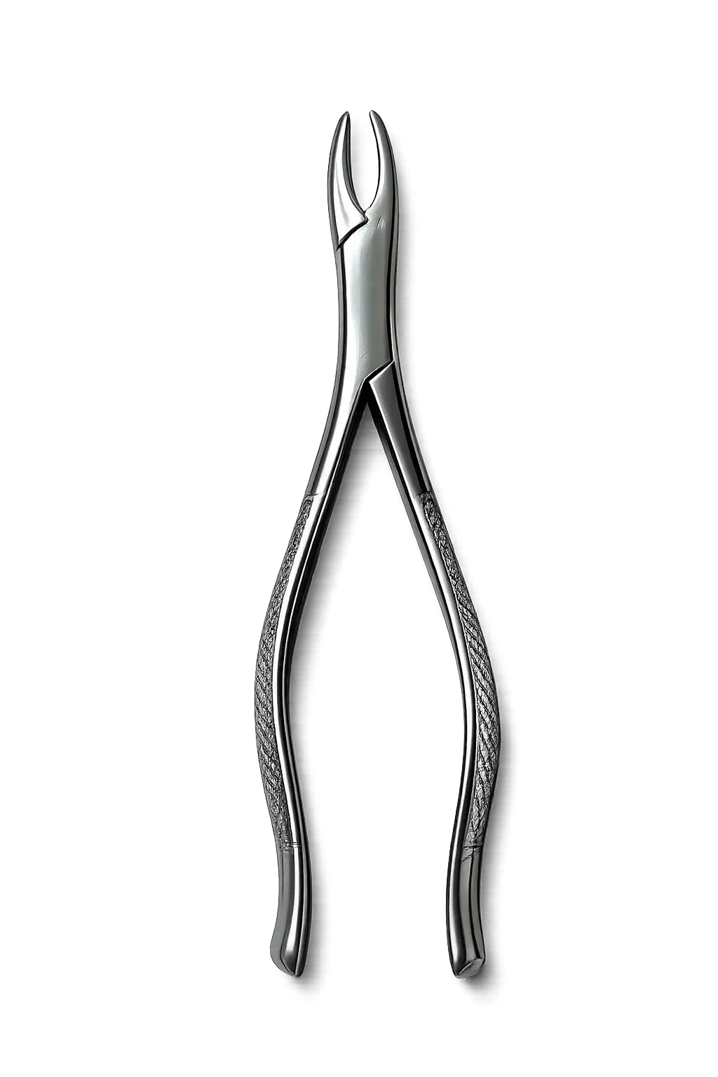 Fórceps